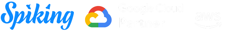 Spiking · Google Cloud Partner