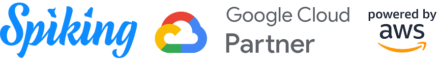 Spiking · Google Cloud Partner